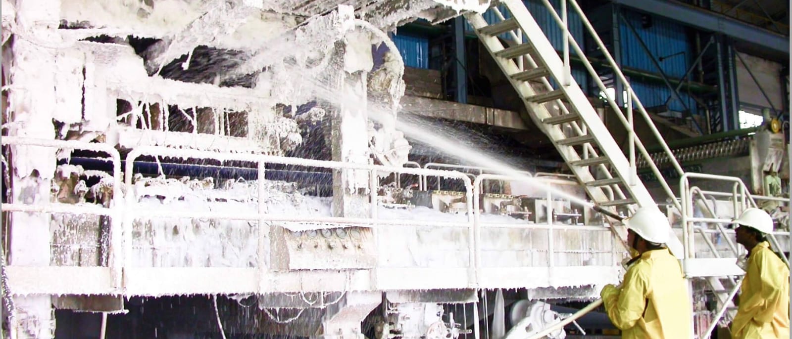 Amazon Papyrus pulp and paper mill solutions